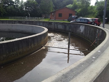 Xylem: Voller Schub nur bei Belüftung in Kläranlage Eiterhagen-Söhrewald