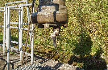 Xylem w<e:1> nscht zum Welttoilettentag in Umdenken in der Bevölkerung